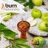 Заказать кальянный табак Burn Famous Apple (Берн Яблоко) 100г онлайн с доставкой всей России Заказать кальянный табак Burn Famous Apple (Берн Яблоко) 100г онлайн с доставкой всей России